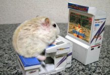 Hamtaro