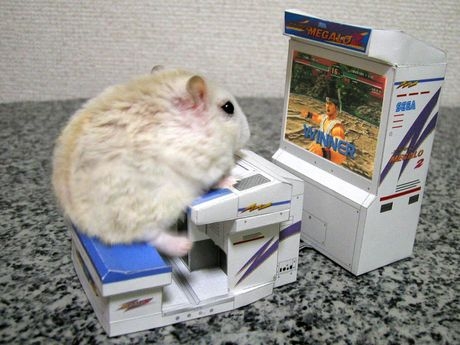 Hamtaro